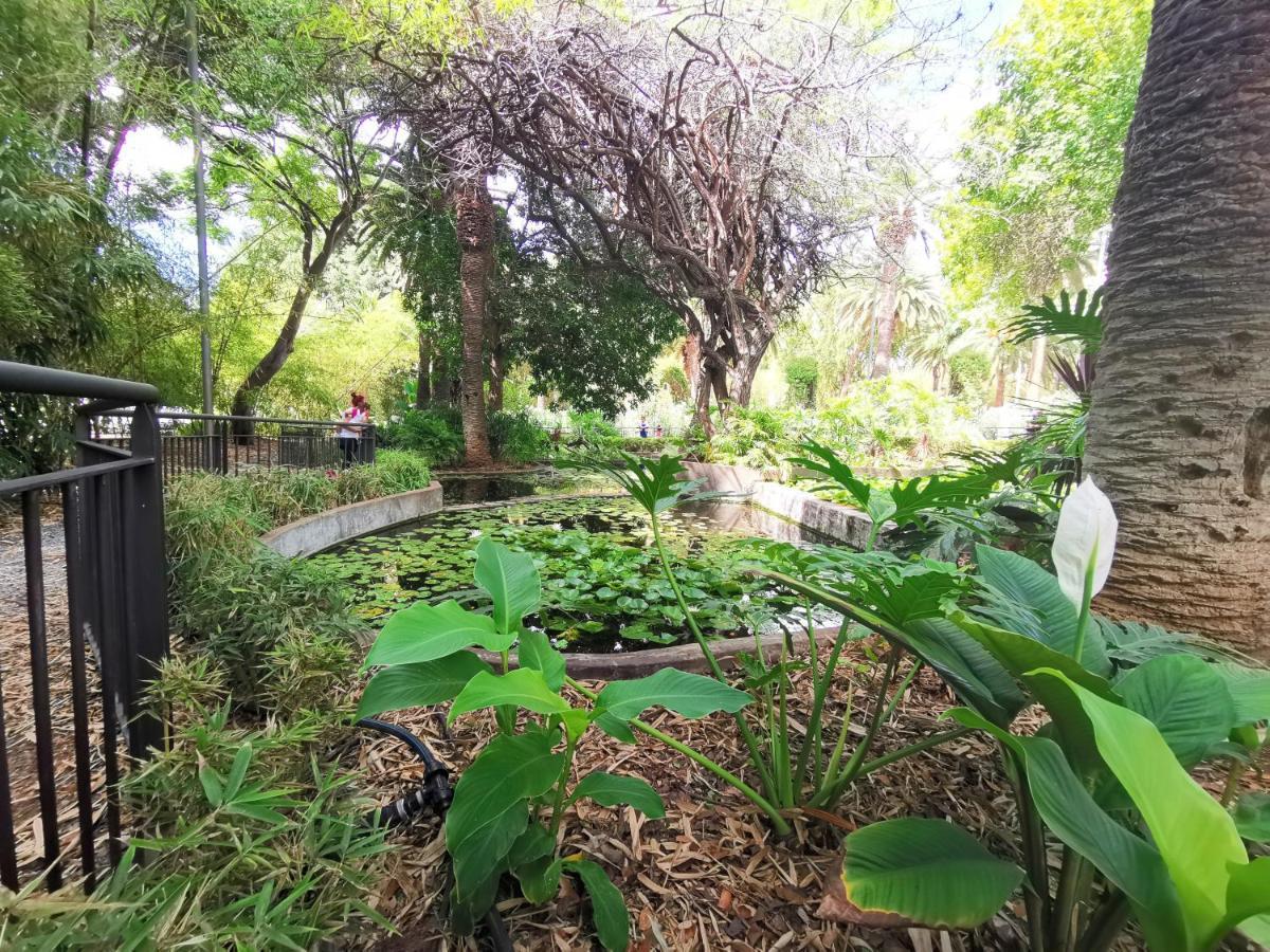 Home2Book Charming Center Apartment Santa Cruz 외부 사진